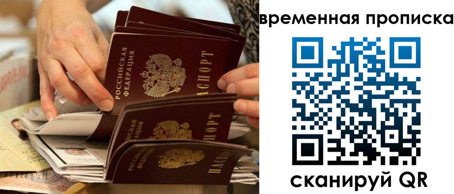 прописка поиск в Керчи